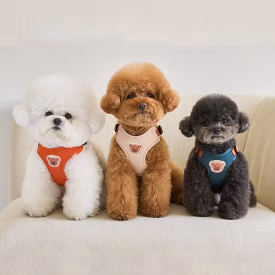 中国卸売ペット非