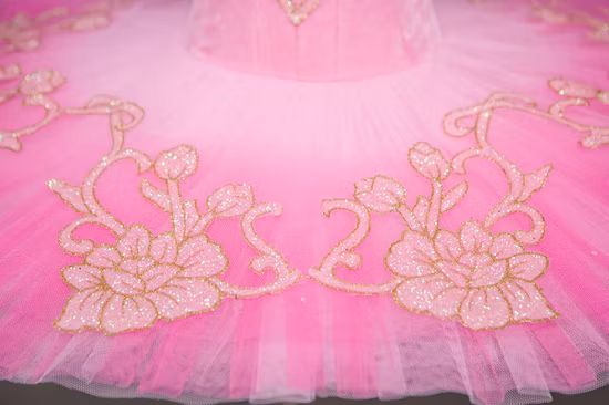 美しいカスタマイズされたプロのバレエチュチュスカート